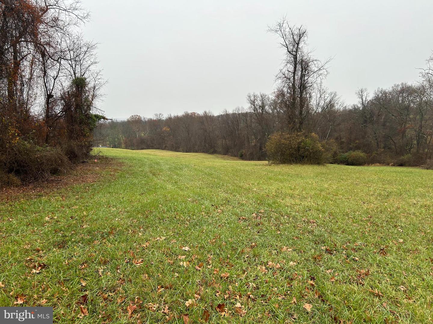 POLECAT HILL ROAD, MIDDLEBURG, Virginia 20117, ,Land,For sale,POLECAT HILL ROAD,VALO2084200 MLS # VALO2084200