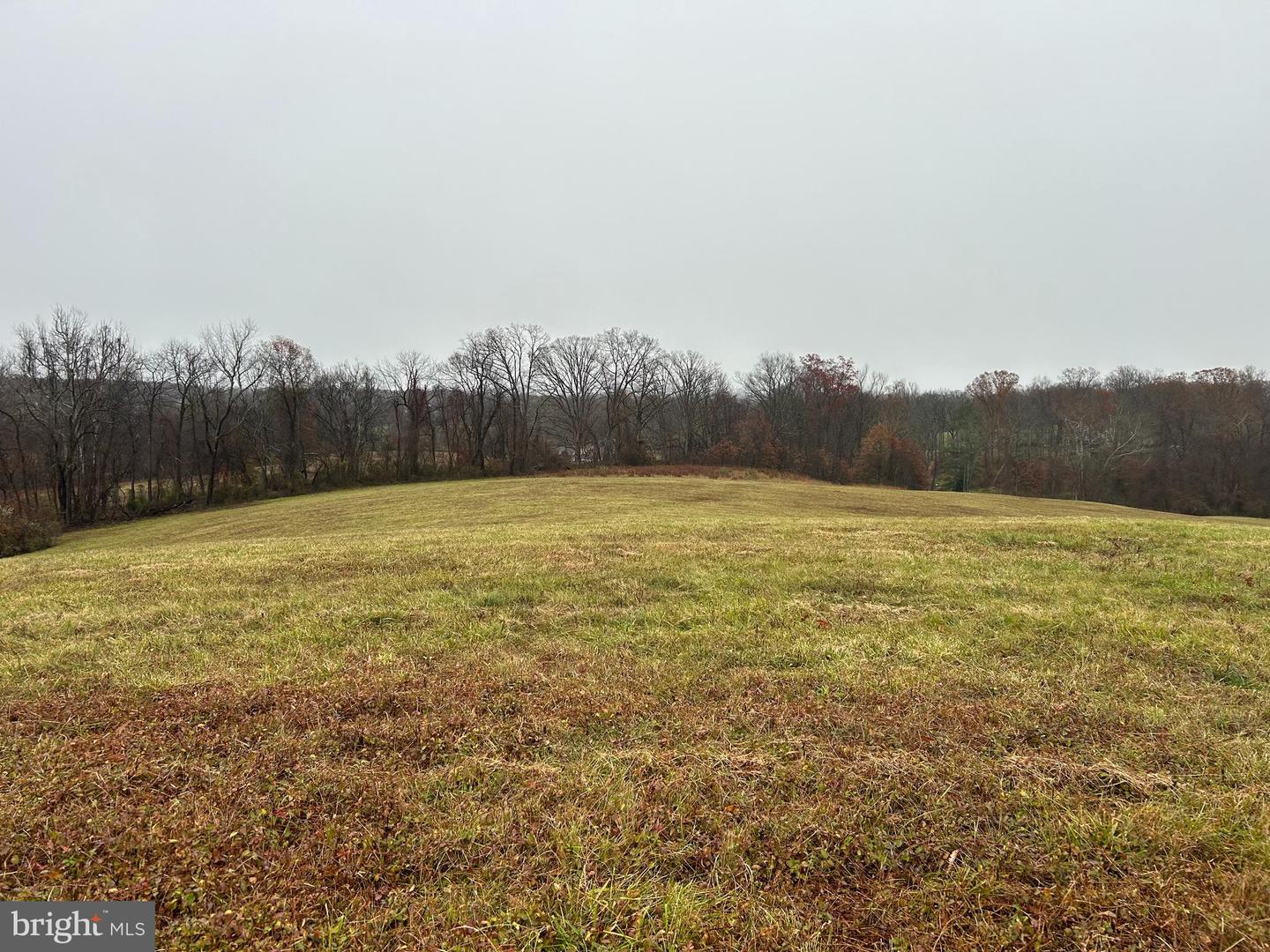 POLECAT HILL ROAD, MIDDLEBURG, Virginia 20117, ,Land,For sale,POLECAT HILL ROAD,VALO2084200 MLS # VALO2084200