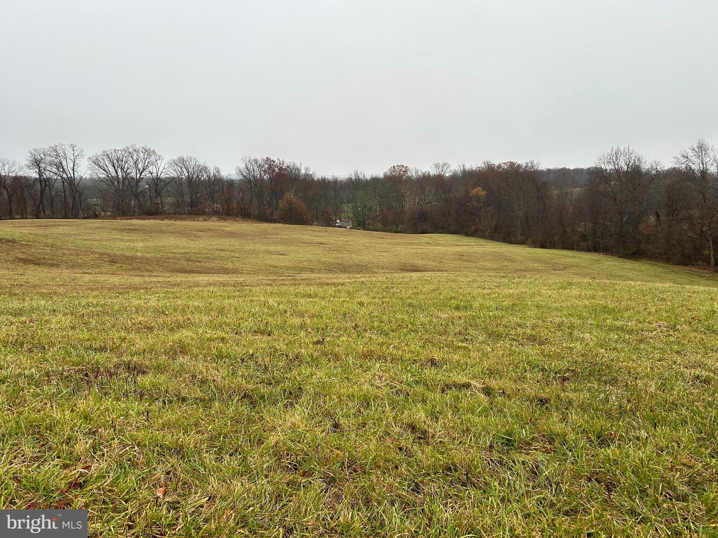 POLECAT HILL ROAD, MIDDLEBURG, Virginia 20117, ,Land,For sale,POLECAT HILL ROAD,VALO2084200 MLS # VALO2084200