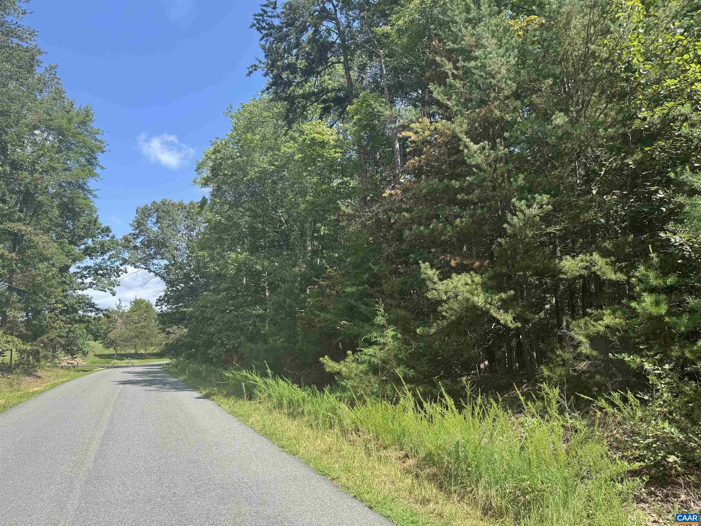 1 FRAYS RIDGE RD, EARLYSVILLE, Virginia 22936, ,Land,For sale,1 FRAYS RIDGE RD,658997 MLS # 658997
