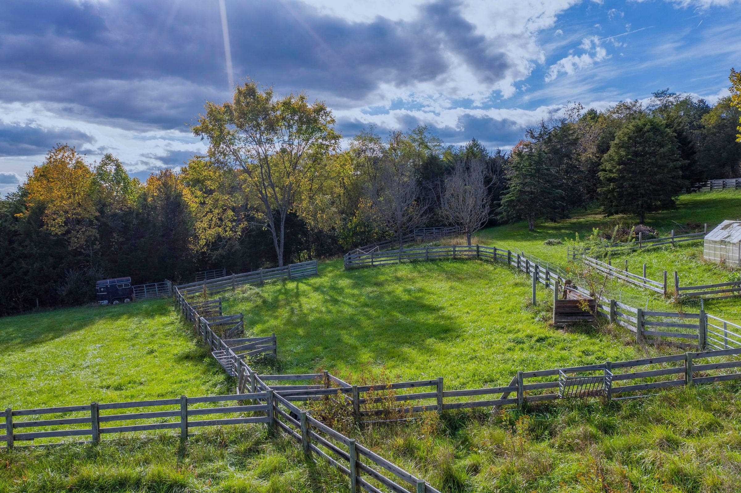 Pastures for horses!