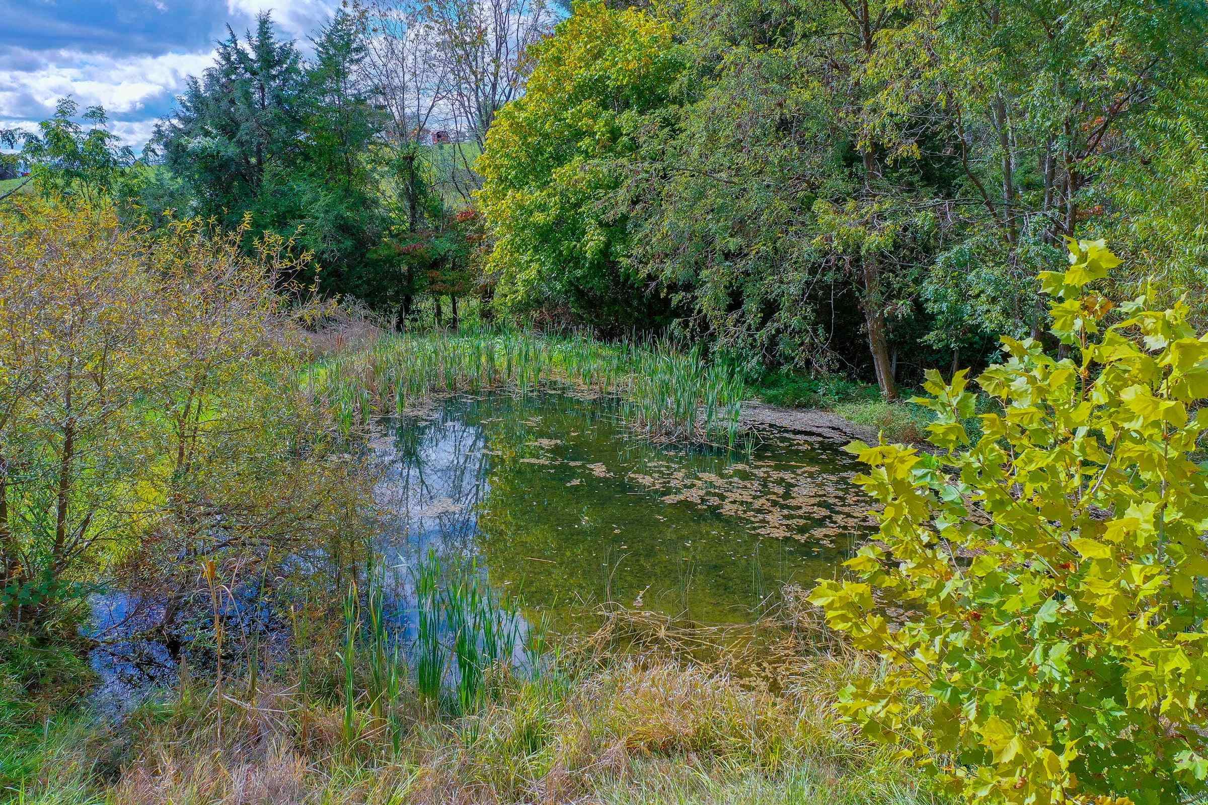 The property includes a pond which has been previously stocked.