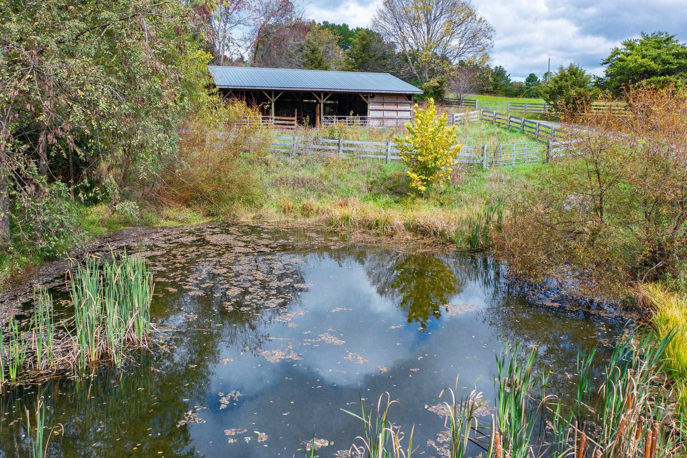 1997 TIMBER RIDGE RD, BUENA VISTA, Virginia 24416, 5 Bedrooms Bedrooms, ,2 BathroomsBathrooms,Residential,1997 Timber Ridge Rd Buena Vista, VA 24416,1997 TIMBER RIDGE RD,658994 MLS # 658994