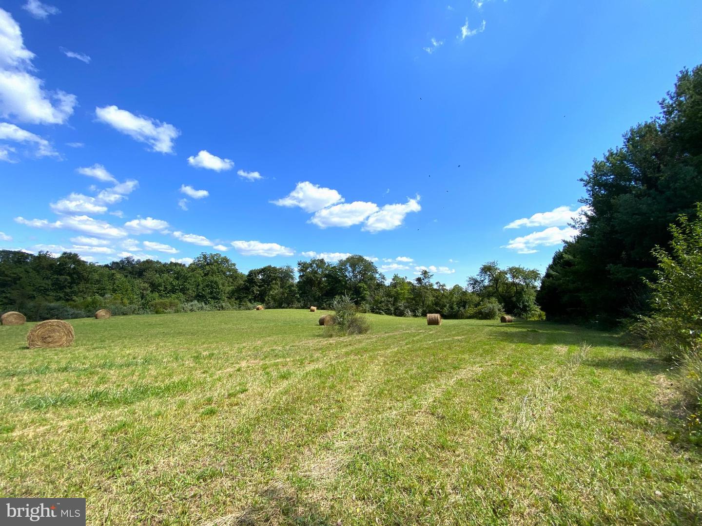 0 BANK ROAD, WASHINGTON, Virginia 22747, ,Land,For sale,0 BANK ROAD,VARP2001344 MLS # VARP2001344