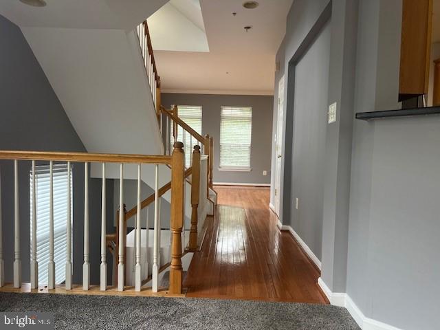 5451 PATUXENT KNOLL PL, ALEXANDRIA, Virginia 22312, 4 Bedrooms Bedrooms, ,2 BathroomsBathrooms,Residential,For sale,5451 PATUXENT KNOLL PL,VAFX2195780 MLS # VAFX2195780