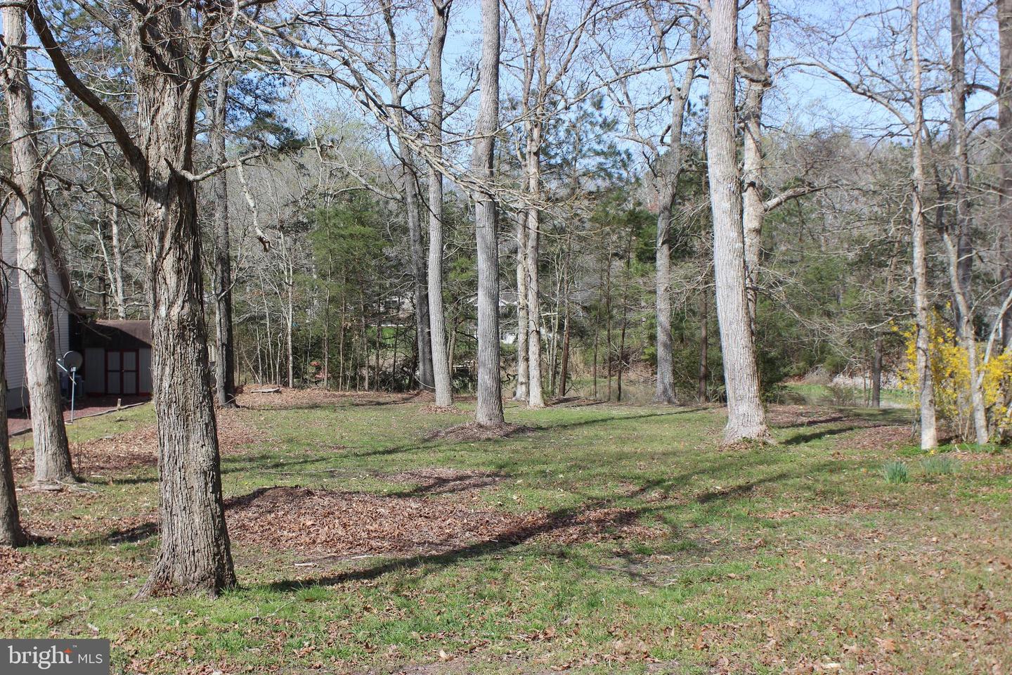 1862 CAPTAINS CORR, GREENBACKVILLE, Virginia 23356, ,Land,For sale,1862 CAPTAINS CORR,VAAC2001494 MLS # VAAC2001494