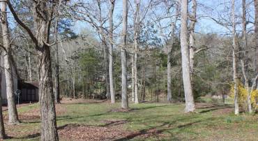 1862 CAPTAINS CORR, GREENBACKVILLE, Virginia 23356, ,Land,For sale,1862 CAPTAINS CORR,VAAC2001494 MLS # VAAC2001494