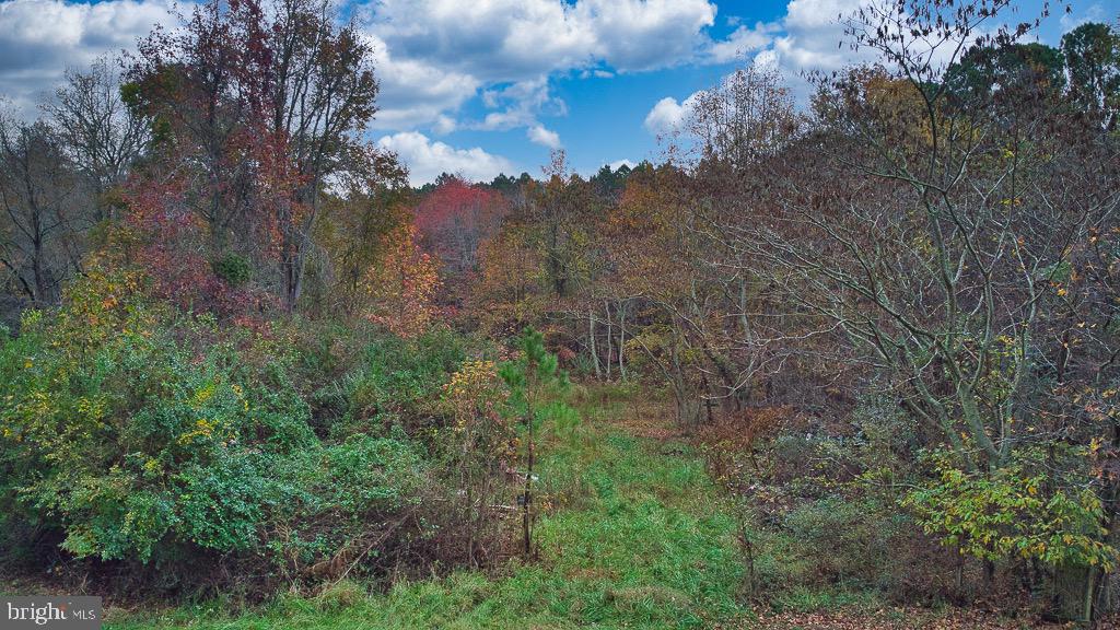 19390 WHITES NECK RD, PARKSLEY, Virginia 23421, ,Land,For sale,19390 WHITES NECK RD,VAAC2001402 MLS # VAAC2001402