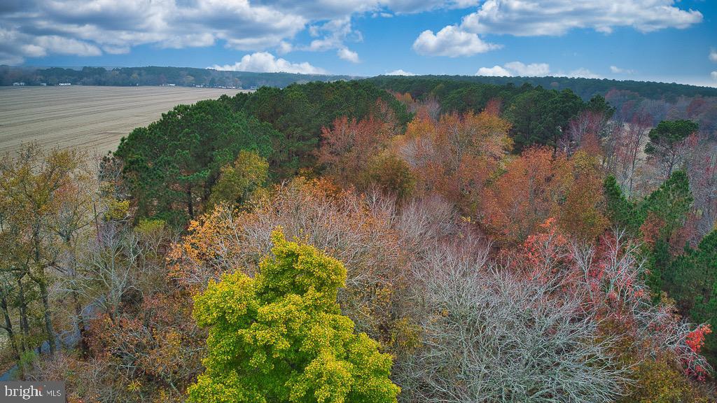 19390 WHITES NECK RD, PARKSLEY, Virginia 23421, ,Land,For sale,19390 WHITES NECK RD,VAAC2001402 MLS # VAAC2001402