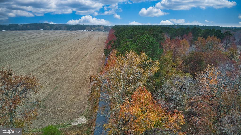 19390 WHITES NECK RD, PARKSLEY, Virginia 23421, ,Land,For sale,19390 WHITES NECK RD,VAAC2001402 MLS # VAAC2001402