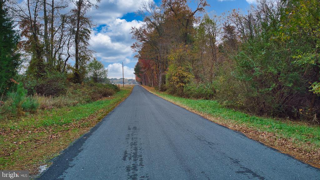 19390 WHITES NECK RD, PARKSLEY, Virginia 23421, ,Land,For sale,19390 WHITES NECK RD,VAAC2001402 MLS # VAAC2001402