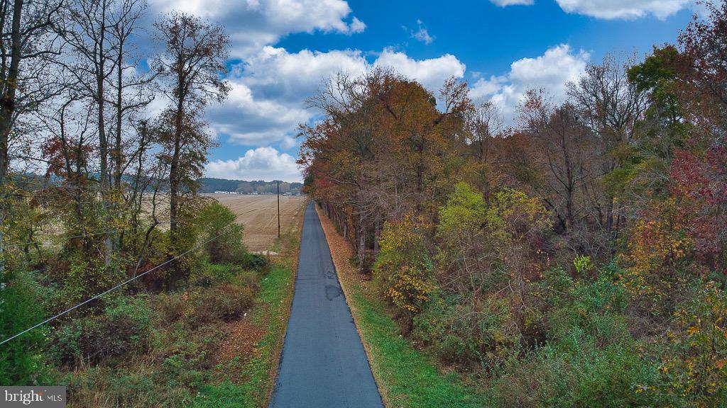 19390 WHITES NECK RD, PARKSLEY, Virginia 23421, ,Land,For sale,19390 WHITES NECK RD,VAAC2001402 MLS # VAAC2001402