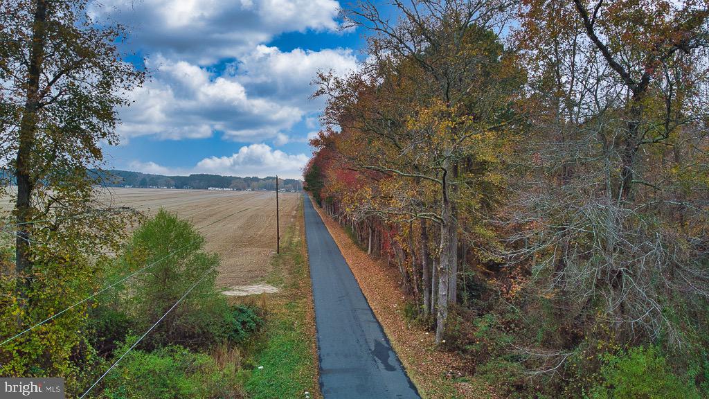 19390 WHITES NECK RD, PARKSLEY, Virginia 23421, ,Land,For sale,19390 WHITES NECK RD,VAAC2001402 MLS # VAAC2001402