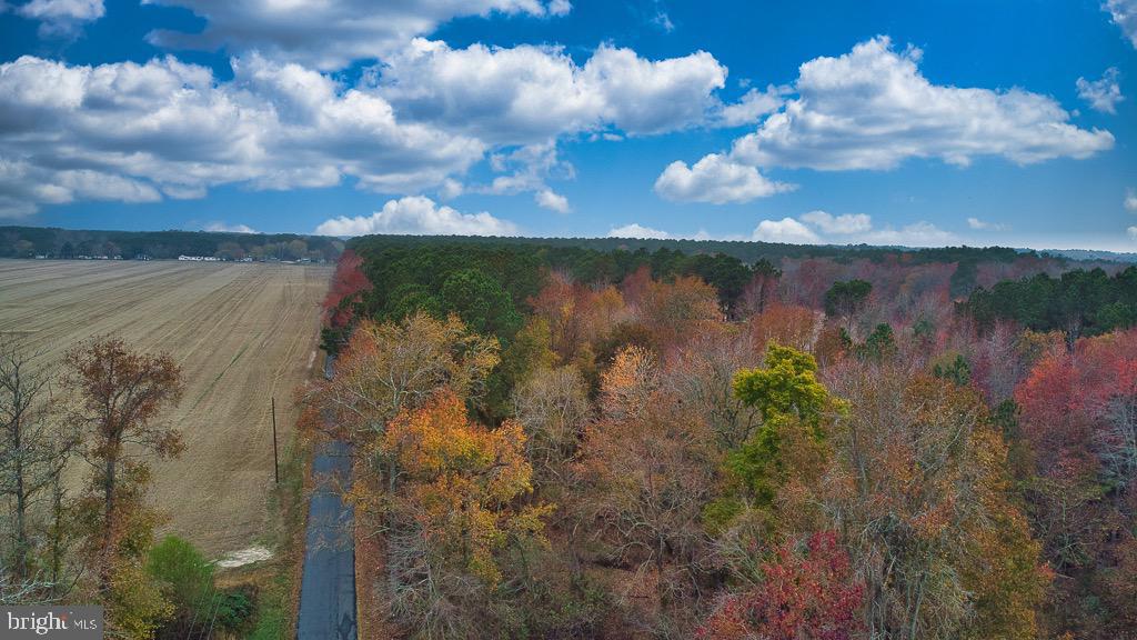 19390 WHITES NECK RD, PARKSLEY, Virginia 23421, ,Land,For sale,19390 WHITES NECK RD,VAAC2001402 MLS # VAAC2001402