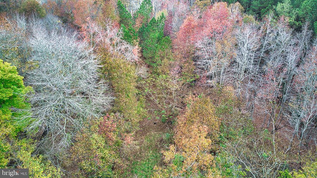 19390 WHITES NECK RD, PARKSLEY, Virginia 23421, ,Land,For sale,19390 WHITES NECK RD,VAAC2001402 MLS # VAAC2001402