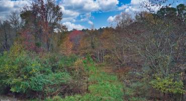 19390 WHITES NECK RD, PARKSLEY, Virginia 23421, ,Land,For sale,19390 WHITES NECK RD,VAAC2001402 MLS # VAAC2001402