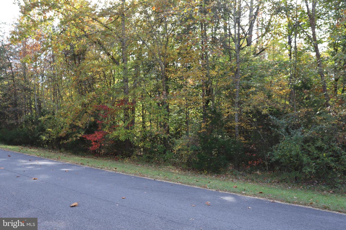 SPOTSWOOD DR, LOCUST GROVE, Virginia 22508, ,Land,For sale,SPOTSWOOD DR,VAOR2008250 MLS # VAOR2008250