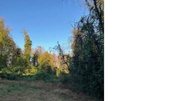 2833 VEST WALKER RD #00900, NORTH GARDEN, Virginia 22959, ,Land,For sale,2833 VEST WALKER RD #00900,659053 MLS # 659053