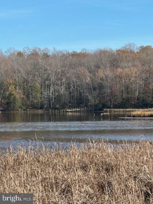 LOT 15 HOLLY POINT, MONTROSS, Virginia 22520, ,Land,For sale,LOT 15 HOLLY POINT,VAWE2007842 MLS # VAWE2007842