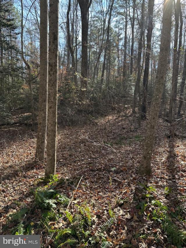 LOT 15 HOLLY POINT, MONTROSS, Virginia 22520, ,Land,For sale,LOT 15 HOLLY POINT,VAWE2007842 MLS # VAWE2007842