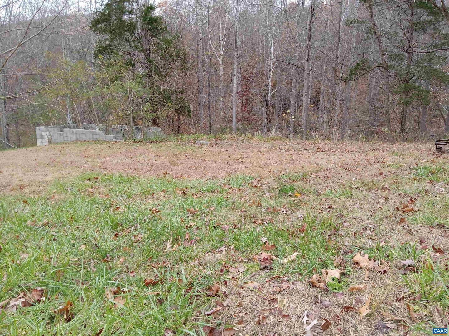 1598 DAVIS CREEK LN, LOVINGSTON, Virginia 22949, ,Land,For sale,1598 DAVIS CREEK LN,659056 MLS # 659056