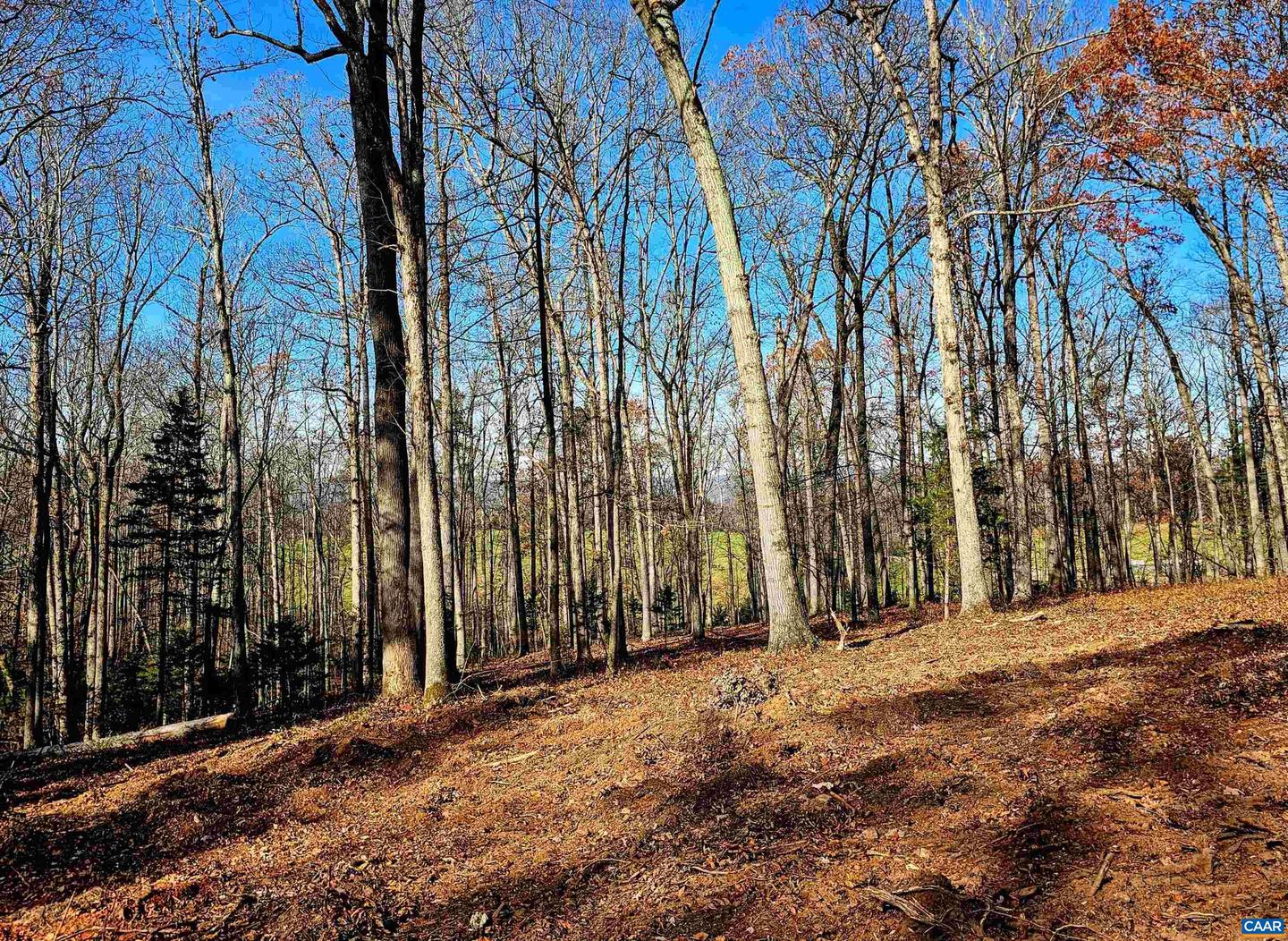 LOT 13 WALNUT TRL #13, RUCKERSVILLE, Virginia 22968, ,Land,For sale,LOT 13 WALNUT TRL #13,659057 MLS # 659057