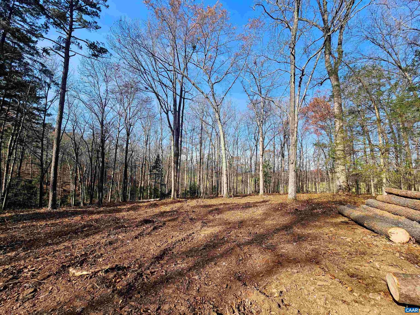 LOT 13 WALNUT TRL #13, RUCKERSVILLE, Virginia 22968, ,Land,For sale,LOT 13 WALNUT TRL #13,659057 MLS # 659057