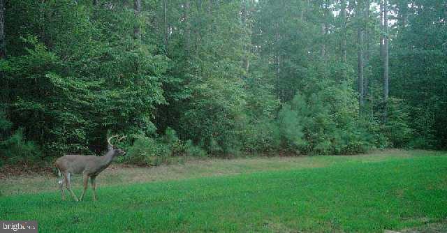 0 WOODSDALE DR, ALBERTA, Virginia 23821, ,Land,For sale,0 WOODSDALE DR,VABW2000058 MLS # VABW2000058