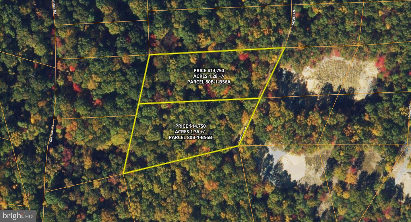 NICOLE B LN, STANLEY, Virginia 22851, ,Land,For sale,NICOLE B LN,VAPA2004238 MLS # VAPA2004238