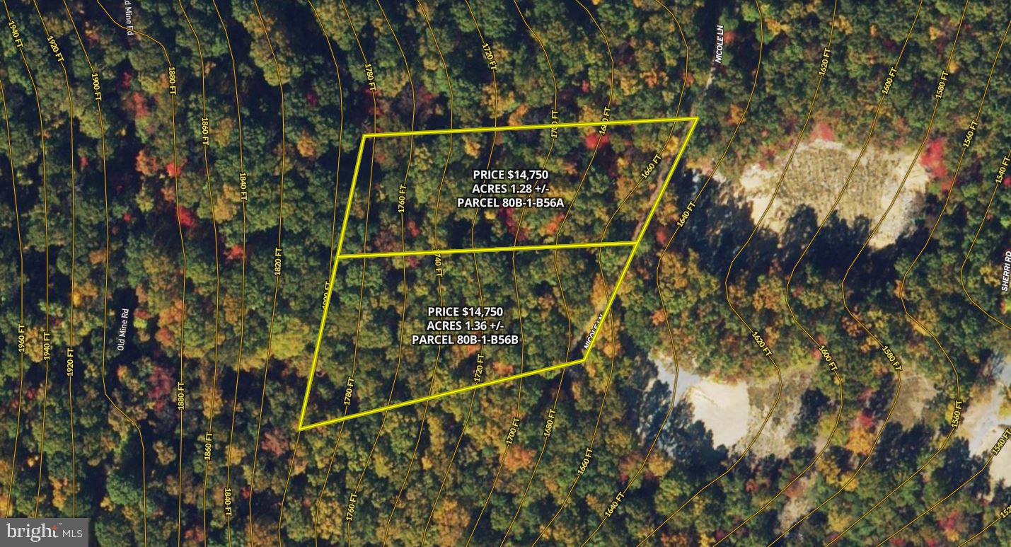 NICOLE B LN, STANLEY, Virginia 22851, ,Land,For sale,NICOLE B LN,VAPA2004238 MLS # VAPA2004238