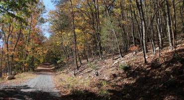 NICOLE B LN, STANLEY, Virginia 22851, ,Land,For sale,NICOLE B LN,VAPA2004238 MLS # VAPA2004238