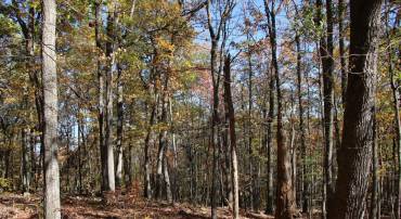 NICOLE A LN, STANLEY, Virginia 22851, ,Land,For sale,NICOLE A LN,VAPA2004240 MLS # VAPA2004240