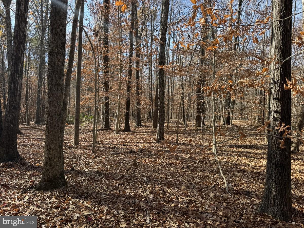 OFF PINEY MOUNTAIN LANE, SHIPMAN, Virginia 22971, ,Land,For sale,OFF PINEY MOUNTAIN LANE,VANL2000438 MLS # VANL2000438