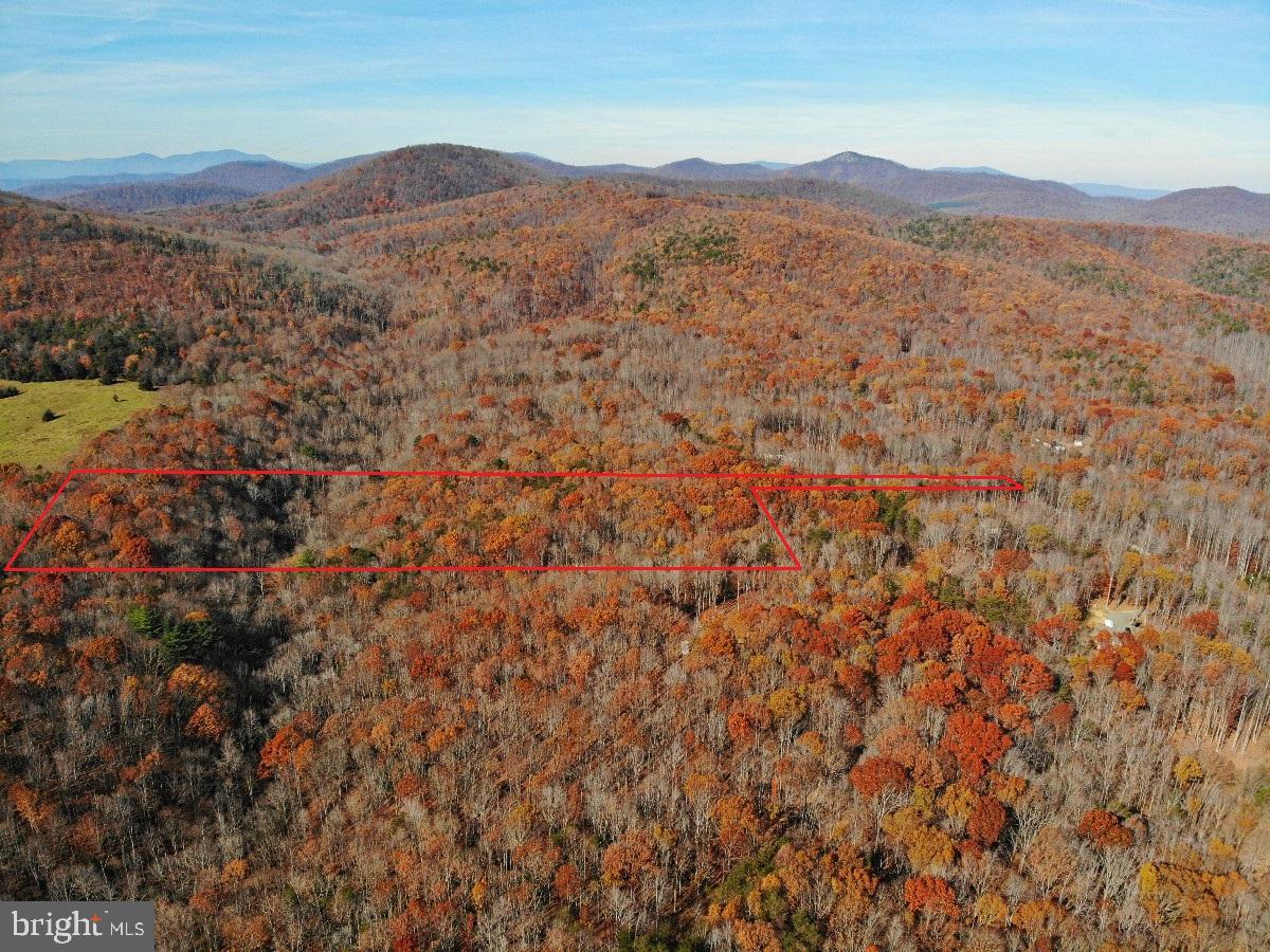 OFF PINEY MOUNTAIN LANE, SHIPMAN, Virginia 22971, ,Land,For sale,OFF PINEY MOUNTAIN LANE,VANL2000438 MLS # VANL2000438