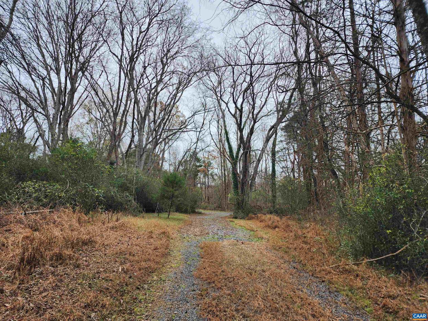 LOT 6 HOLLY SPRINGS DR, LOUISA, Virginia 23093, ,Land,For sale,LOT 6 HOLLY SPRINGS DR,659017 MLS # 659017