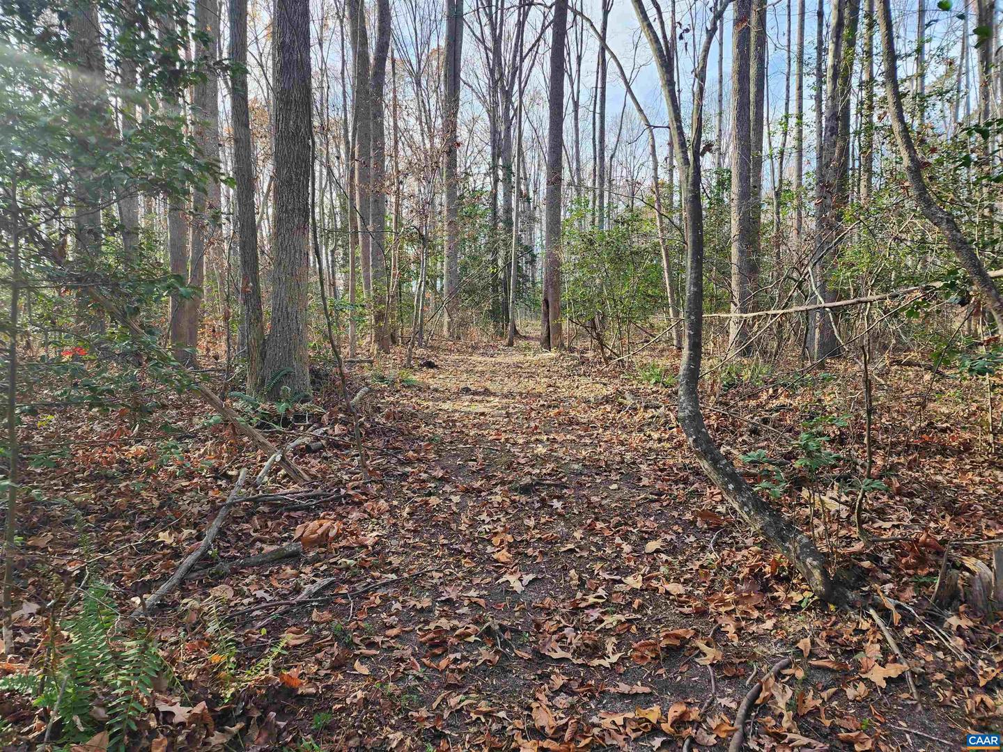 LOT 16 COOKE PL, MINERAL, Virginia 23117, ,Land,For sale,LOT 16 COOKE PL,659093 MLS # 659093