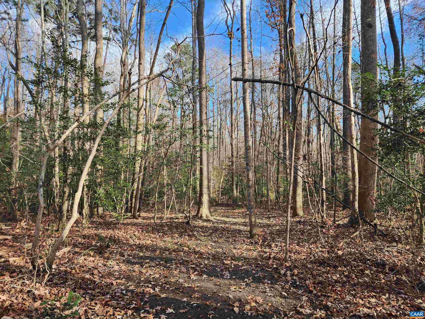 LOT 16 COOKE PL, MINERAL, Virginia 23117, ,Land,For sale,LOT 16 COOKE PL,659093 MLS # 659093