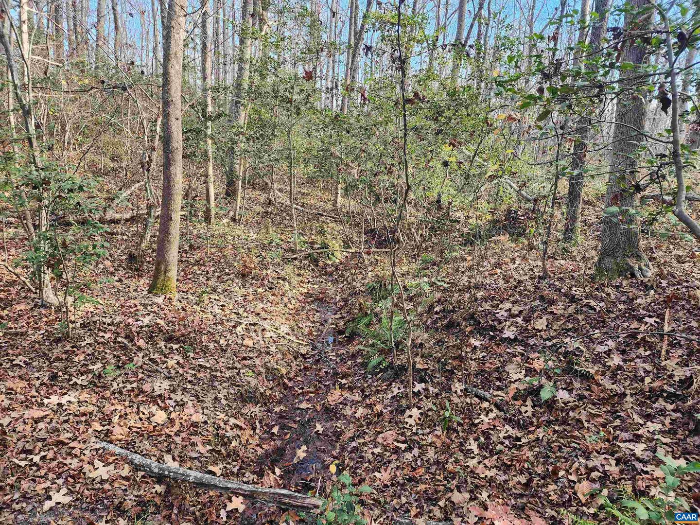 LOT 16 COOKE PL, MINERAL, Virginia 23117, ,Land,For sale,LOT 16 COOKE PL,659093 MLS # 659093