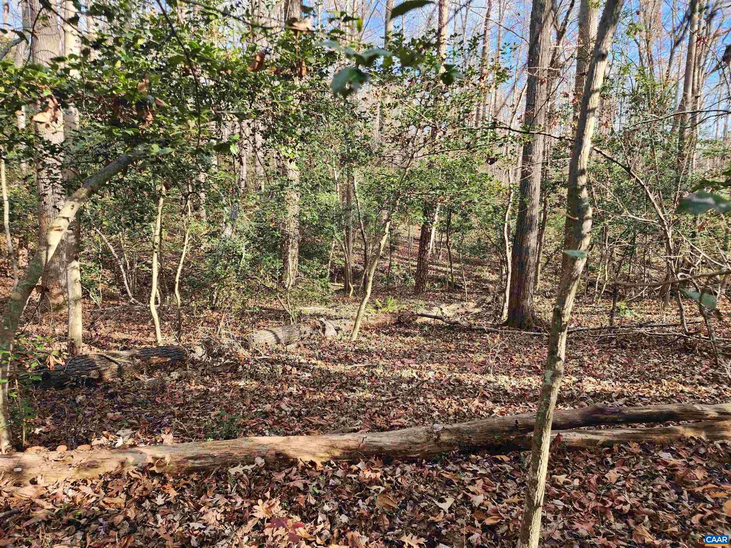 LOT 16 COOKE PL, MINERAL, Virginia 23117, ,Land,For sale,LOT 16 COOKE PL,659093 MLS # 659093