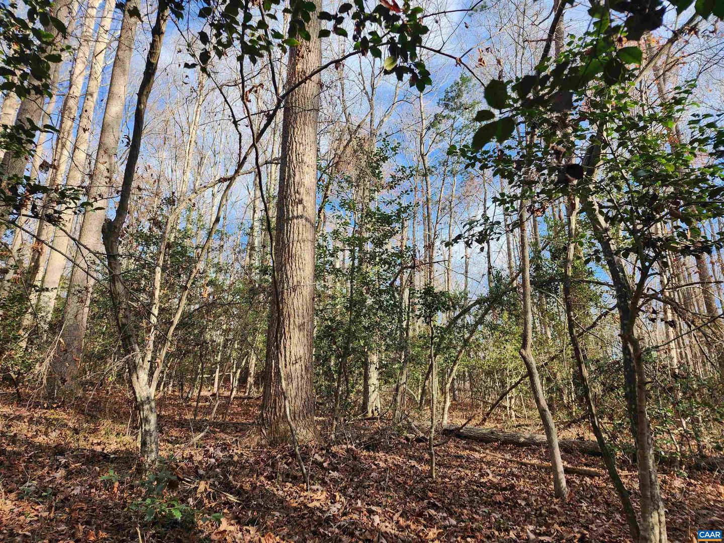 LOT 16 COOKE PL, MINERAL, Virginia 23117, ,Land,For sale,LOT 16 COOKE PL,659093 MLS # 659093