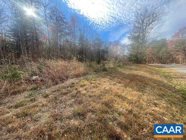 0 UNION CHURCH RD, PALMYRA, Virginia 22963, ,Land,For sale,0 UNION CHURCH RD,659102 MLS # 659102