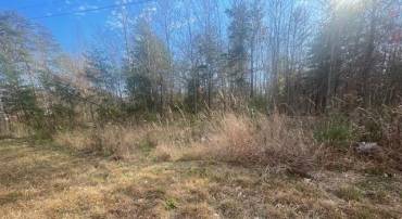 0 UNION CHURCH RD, PALMYRA, Virginia 22963, ,Land,For sale,0 UNION CHURCH RD,659102 MLS # 659102