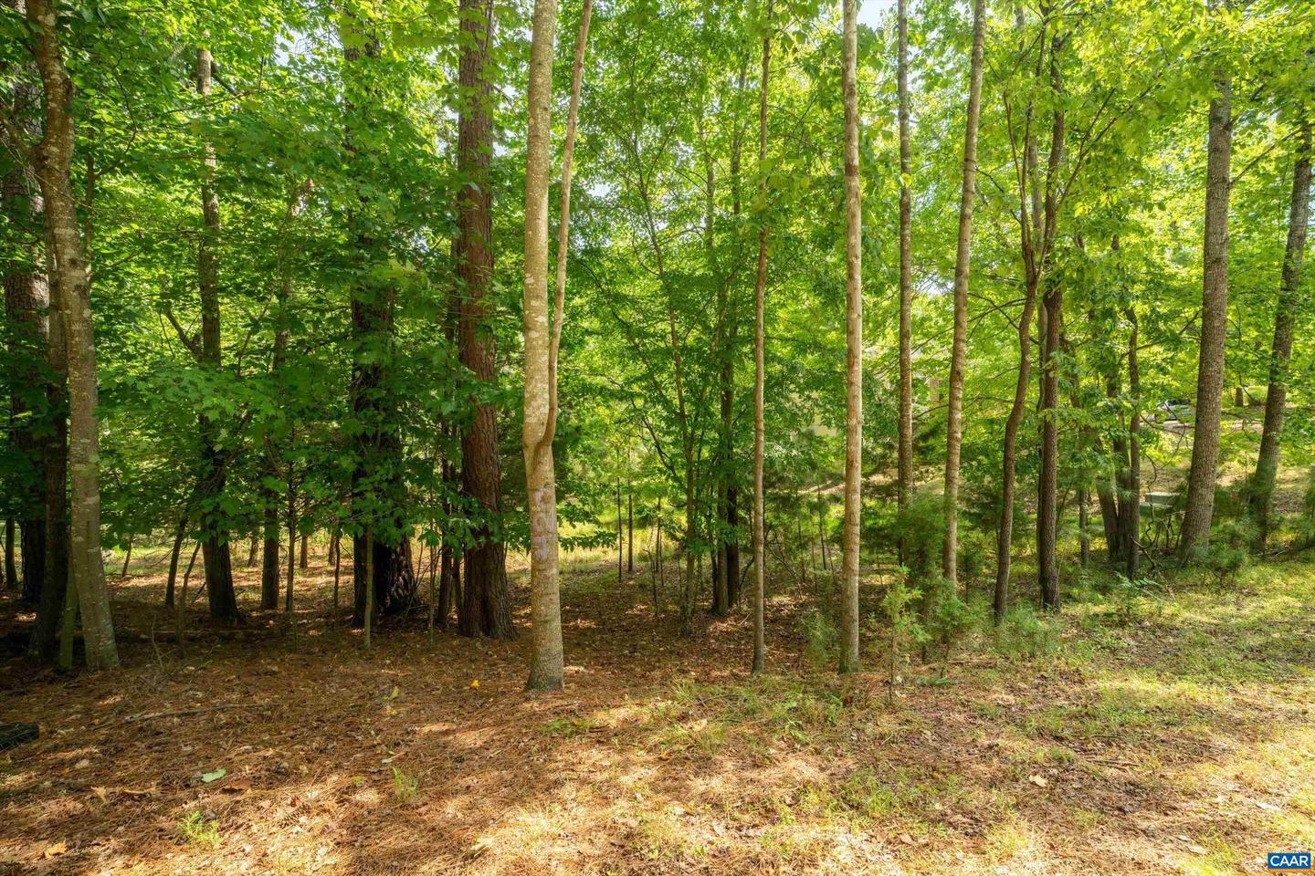 LAGUNA RD #13, PALMYRA, Virginia 22963, ,Land,For sale,LAGUNA RD #13,659109 MLS # 659109