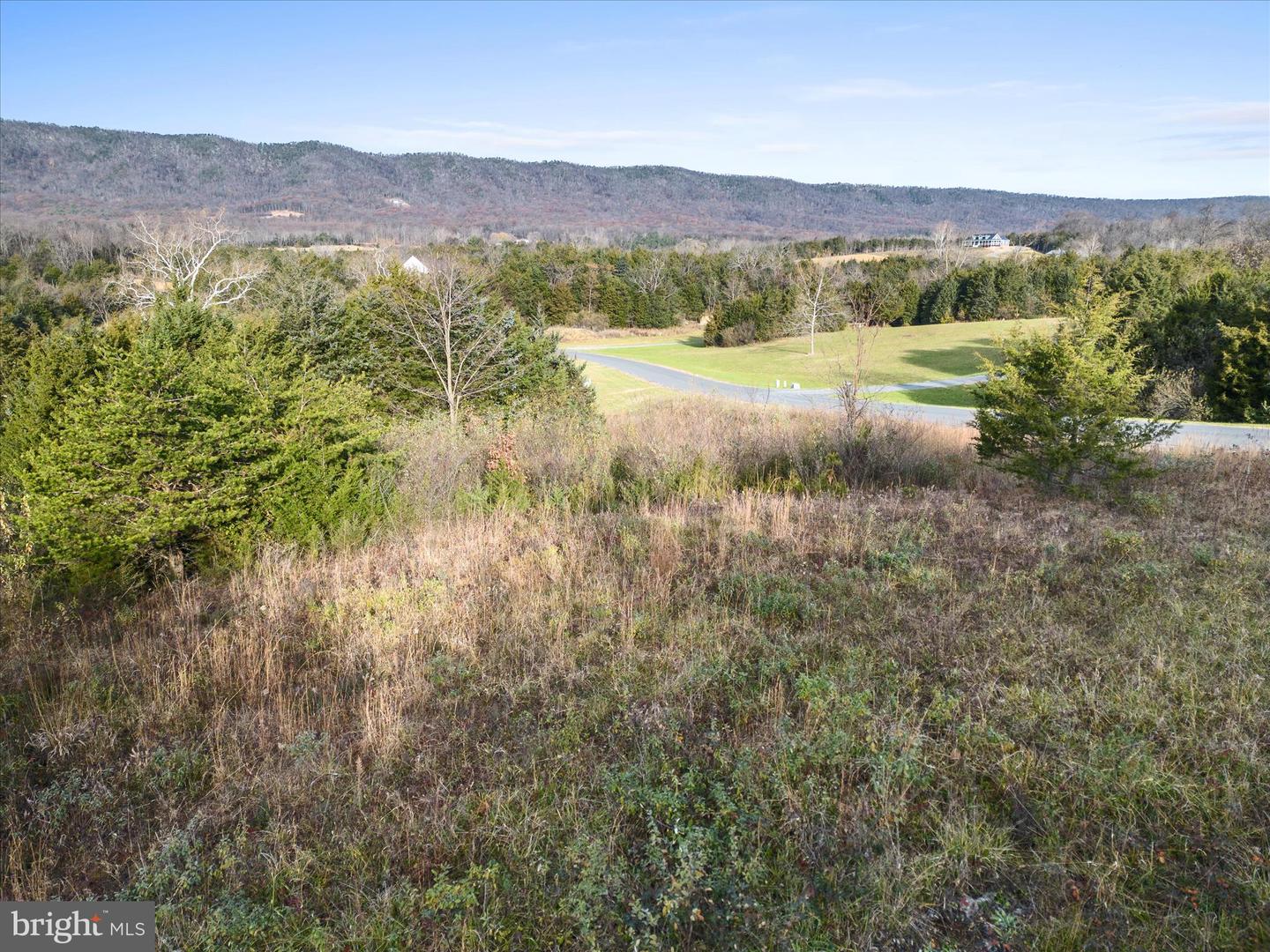 LOT 61 SAVANNAH DR, STRASBURG, Virginia 22657, ,Land,For sale,LOT 61 SAVANNAH DR,VASH2010202 MLS # VASH2010202