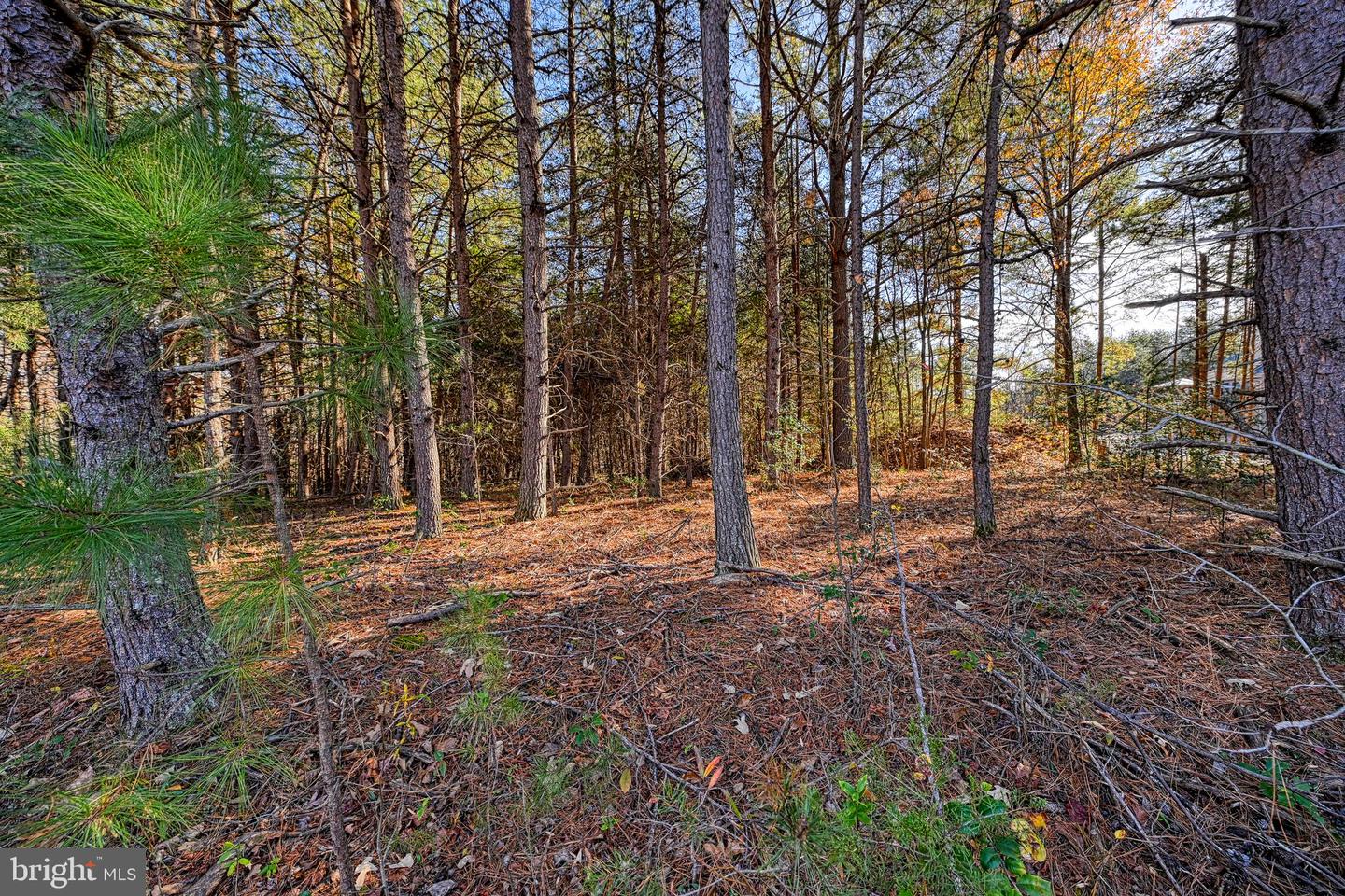 LOT 41 DEERFIELD PL, MINERAL, Virginia 23117, ,Land,For sale,LOT 41 DEERFIELD PL,VALA2006956 MLS # VALA2006956