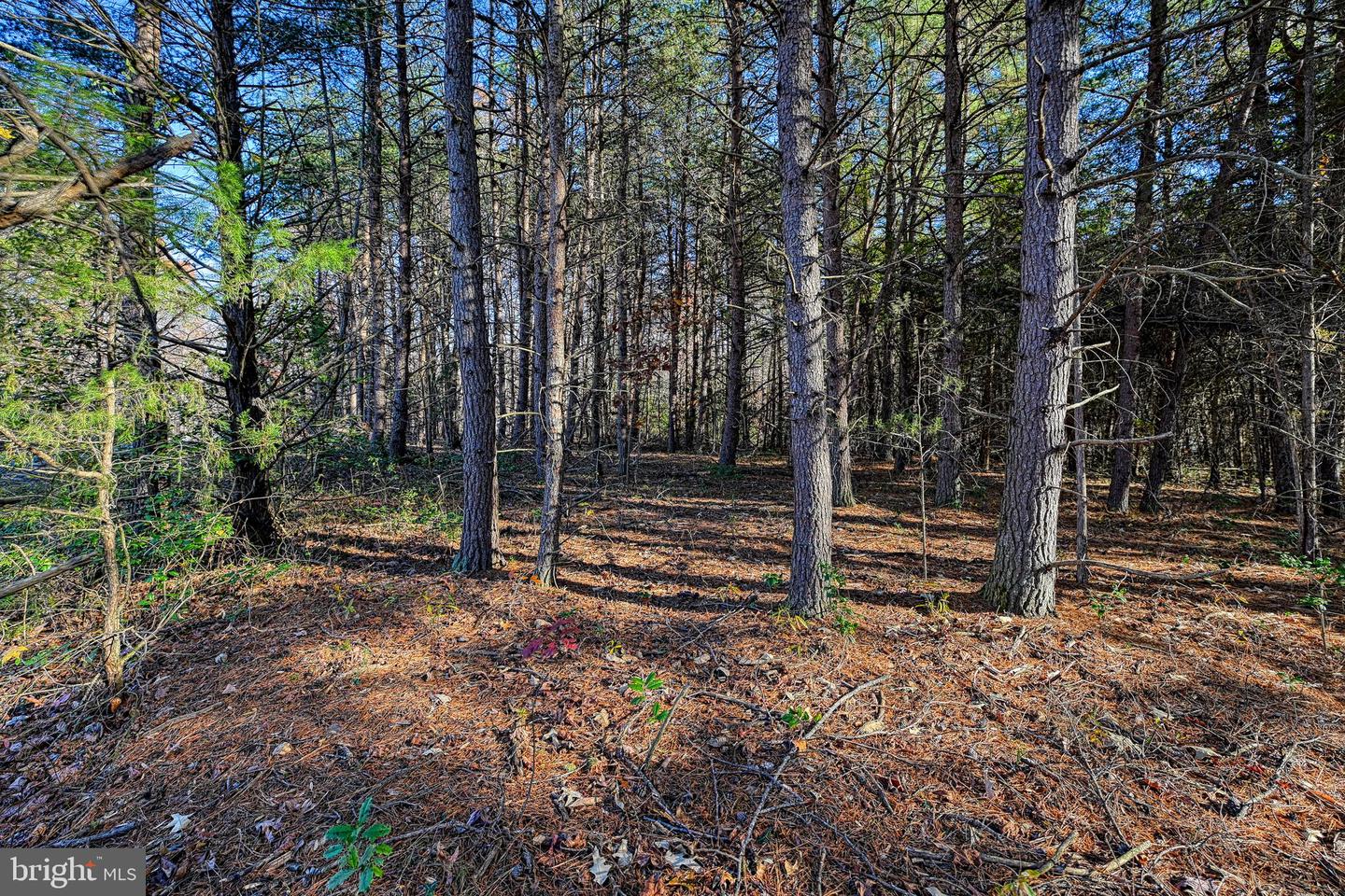 LOT 41 DEERFIELD PL, MINERAL, Virginia 23117, ,Land,For sale,LOT 41 DEERFIELD PL,VALA2006956 MLS # VALA2006956