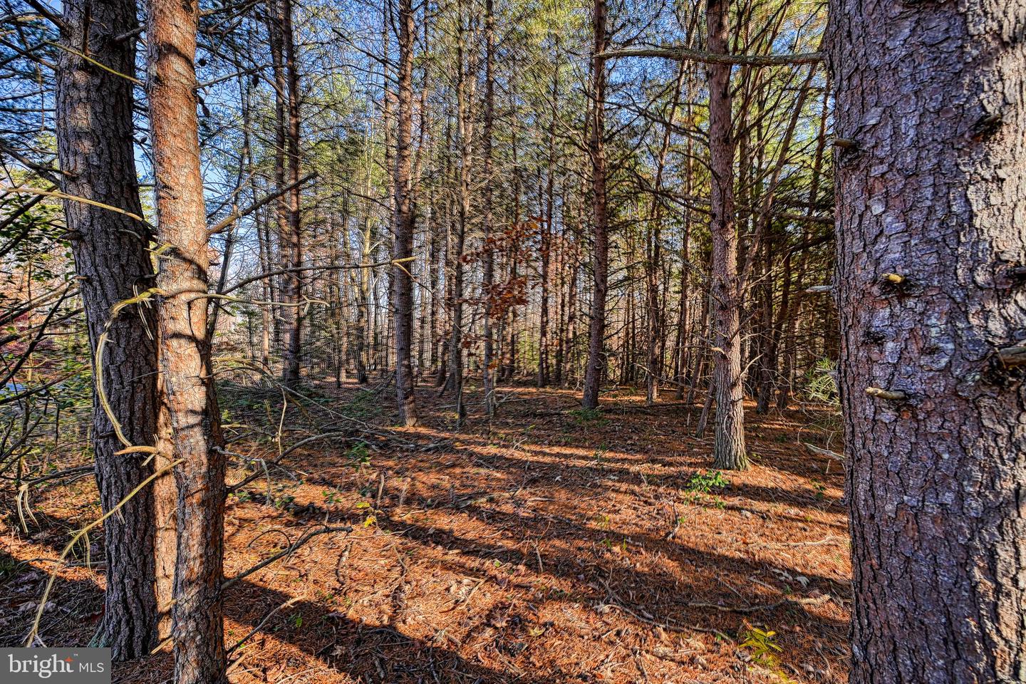 LOT 41 DEERFIELD PL, MINERAL, Virginia 23117, ,Land,For sale,LOT 41 DEERFIELD PL,VALA2006956 MLS # VALA2006956