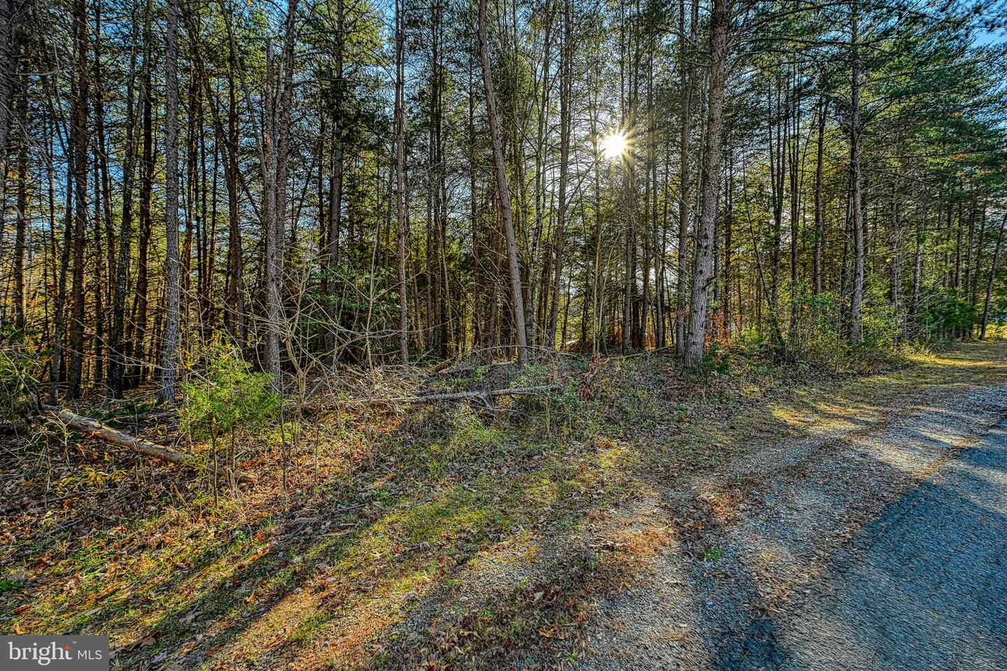 LOT 41 DEERFIELD PL, MINERAL, Virginia 23117, ,Land,For sale,LOT 41 DEERFIELD PL,VALA2006956 MLS # VALA2006956