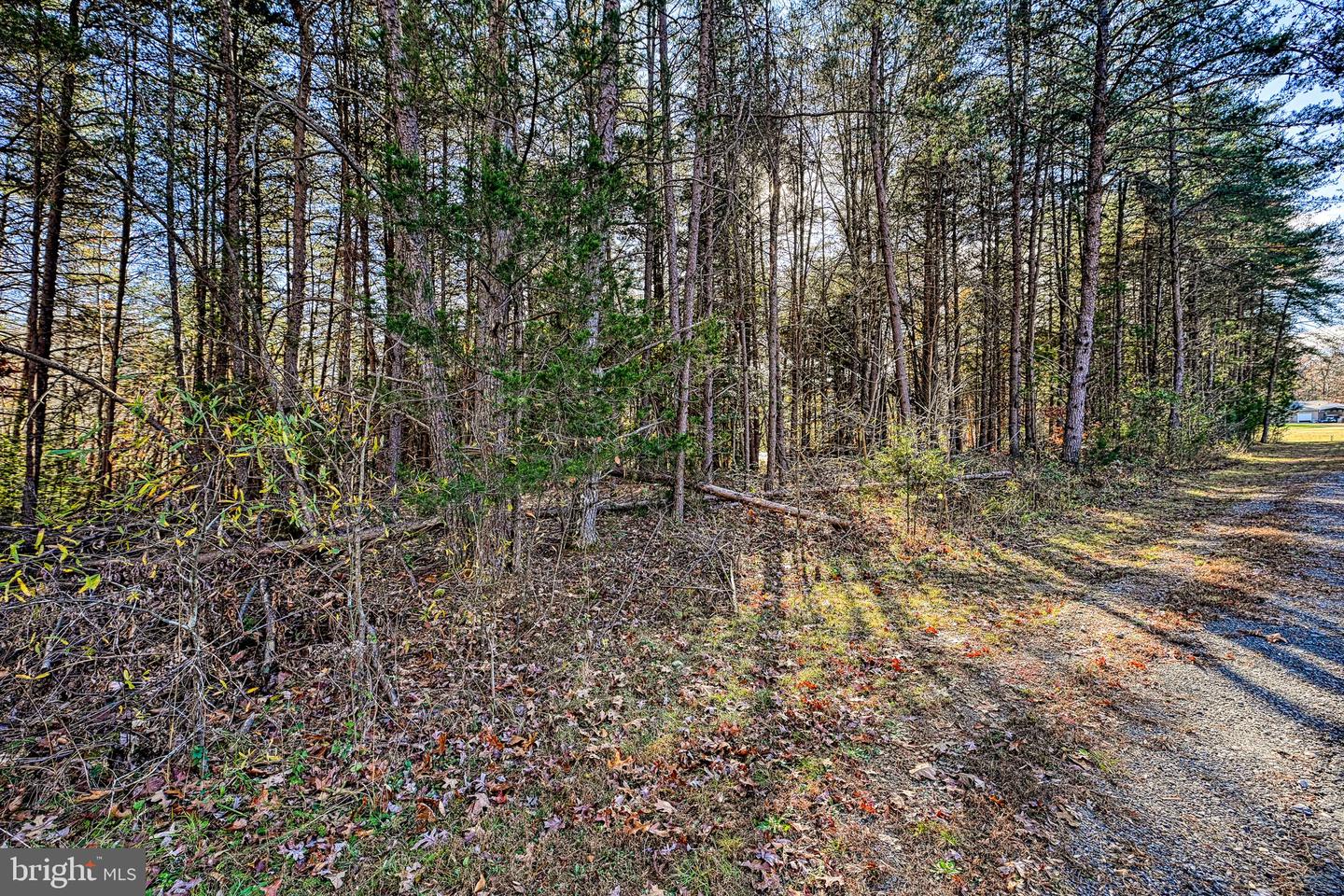 LOT 41 DEERFIELD PL, MINERAL, Virginia 23117, ,Land,For sale,LOT 41 DEERFIELD PL,VALA2006956 MLS # VALA2006956