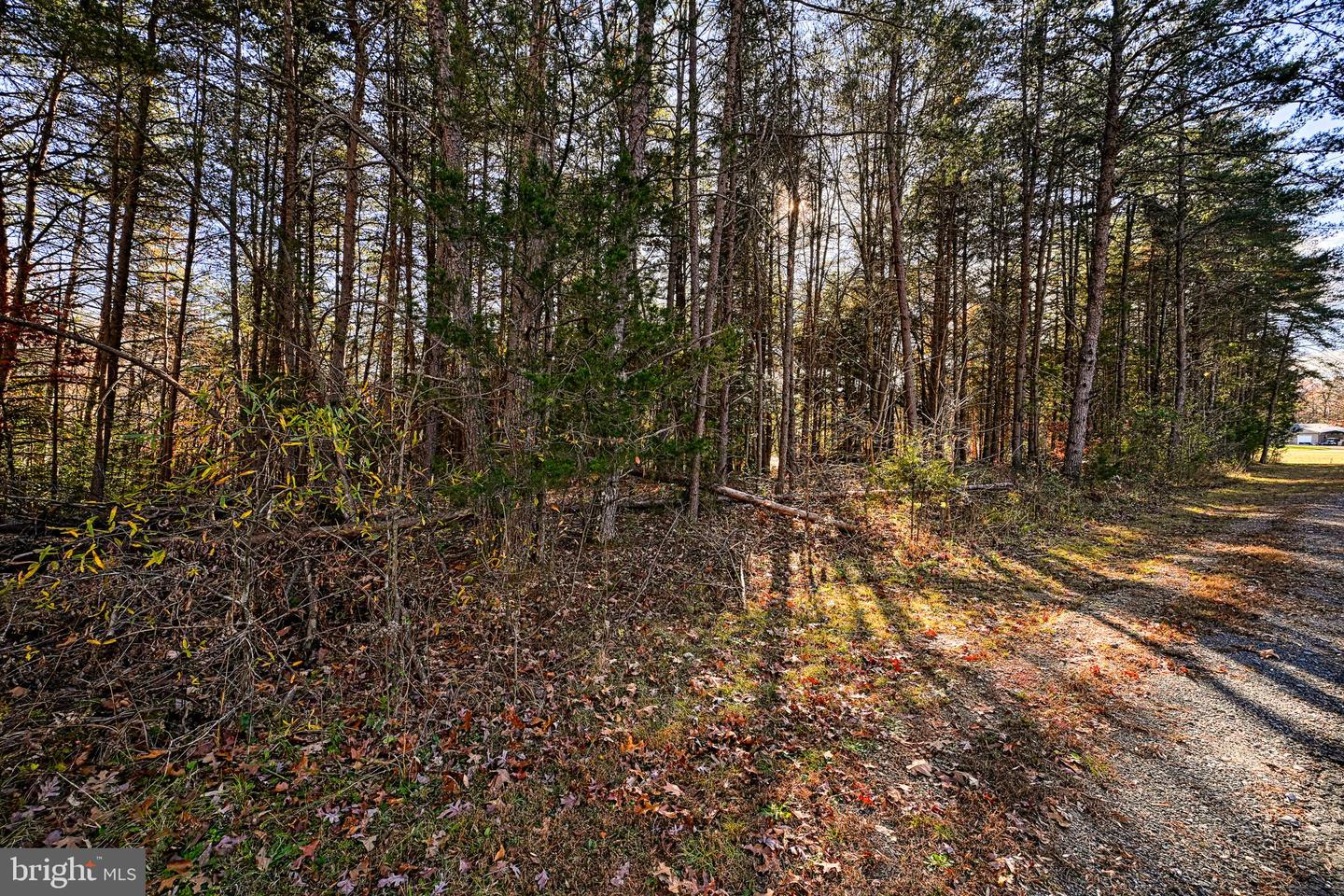 LOT 41 DEERFIELD PL, MINERAL, Virginia 23117, ,Land,For sale,LOT 41 DEERFIELD PL,VALA2006956 MLS # VALA2006956